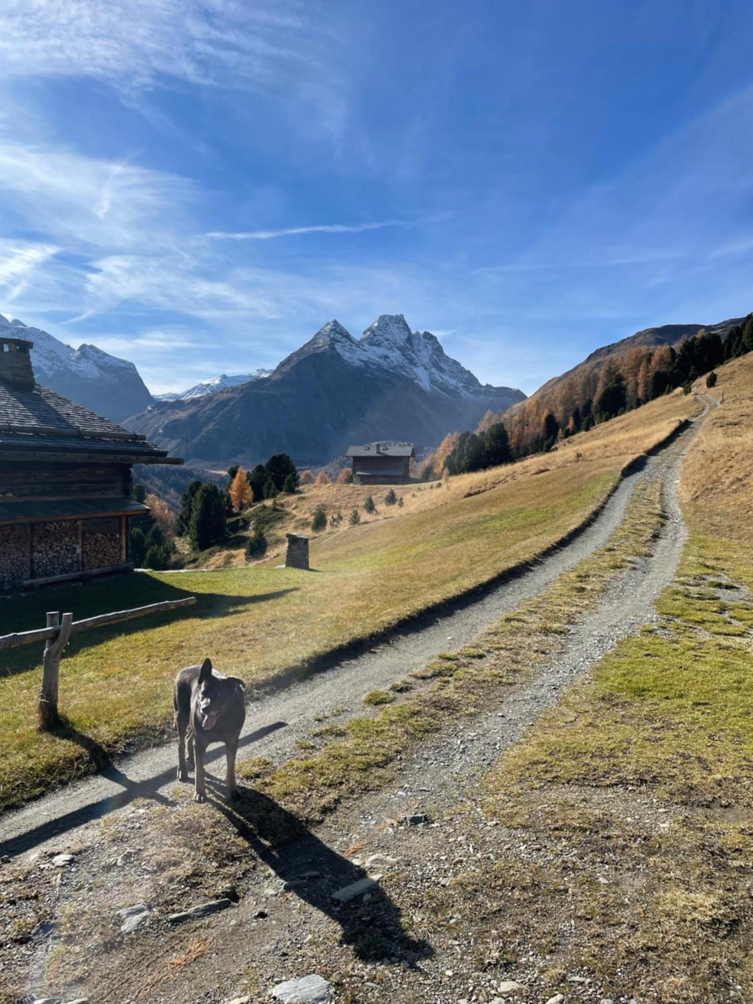 Residence S Lucia - Appartamenti Alle Porte Di Bormio Valdisotto Exterior foto